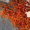 Red Carp Fry Xingguo Cold Water Ornamental Fish Fry Freshwater Farming Red Durable Live Carp Edible