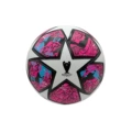 21 champions league rose red