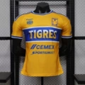 26.27tiger home court