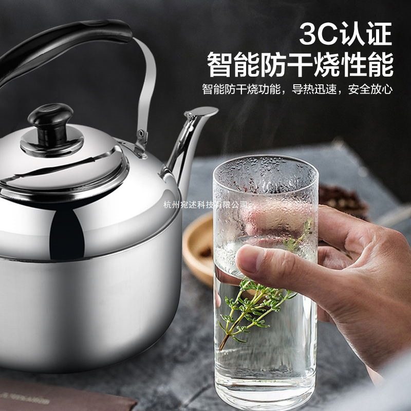 304 Vintage Whistle Stainless Steel Large Electric Kettle Dormitory Household Water Boiler Capacity Electric Teapot 10 Liters
