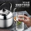 304 Vintage Whistle Stainless Steel Large Electric Kettle Dormitory Household Water Boiler Capacity Electric Teapot 10 Liters