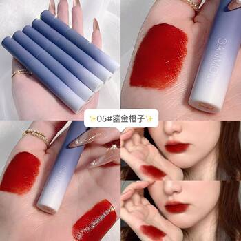 Cross-Border Danmolu Lip Glaze Set Matte Matte Velvet Not Easy to Fade Lipstick 5-Pack Lip Glaze