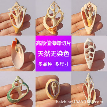 Natural shell conch sliced rose snail handmade diy clothes accessories decorative crafts necklace material wholesale