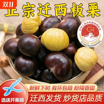 Fresh Chestnuts from Qianxi, Large Oil Chestnuts, Hebei Tangshan Yanshan Chestnuts, Small Hairy Chestnuts with Free Shipping