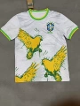 Brazilian fans 11