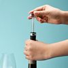 Wine Fresh Wine Stopper Set Exhibition Wedding Ceremony Wine Pourer Vacuum Wine Stopper Set
