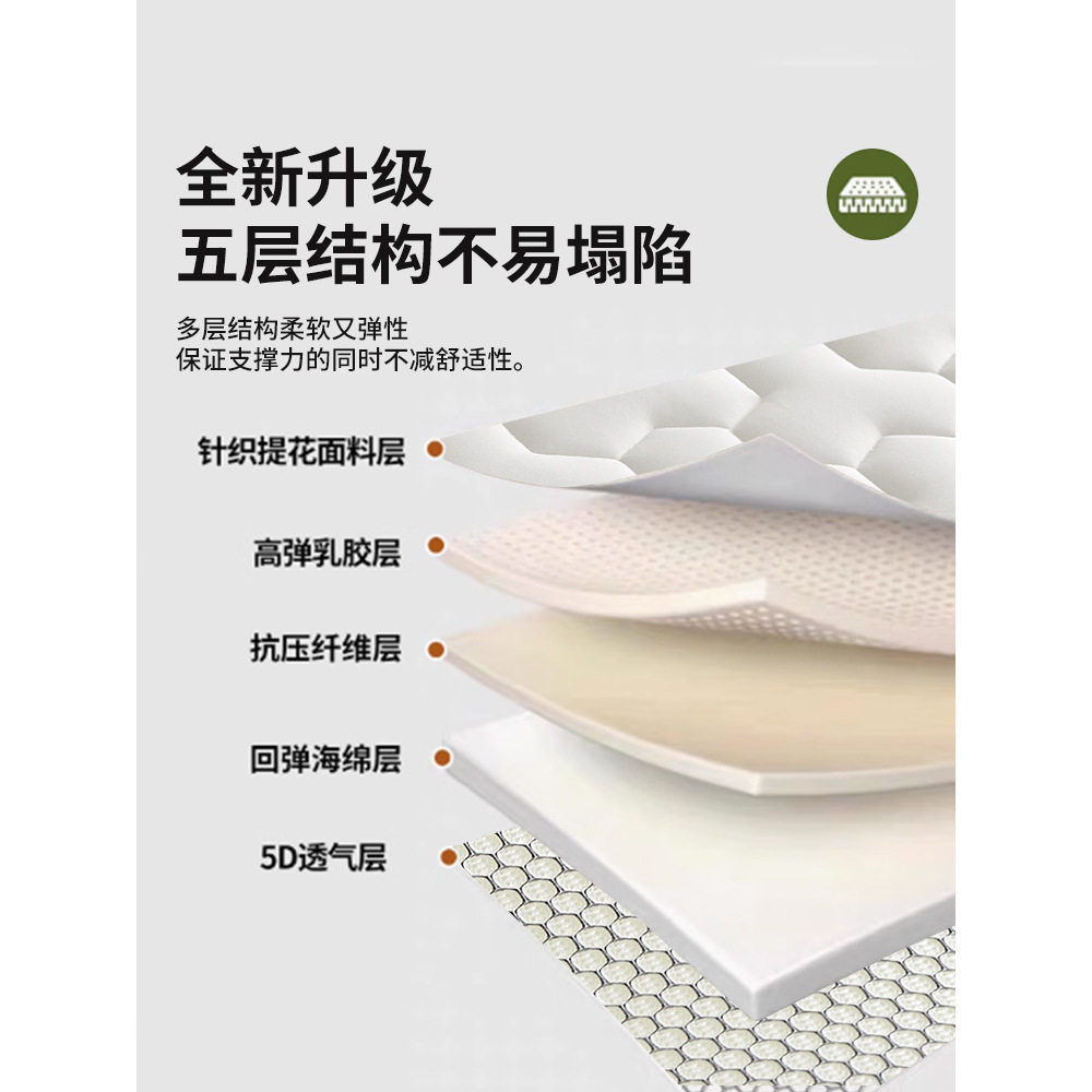 Latex Memory Foam Mattress Cover Home Cushion Bedroom Dormitory Student Single and Double Tatami Sponge Mat