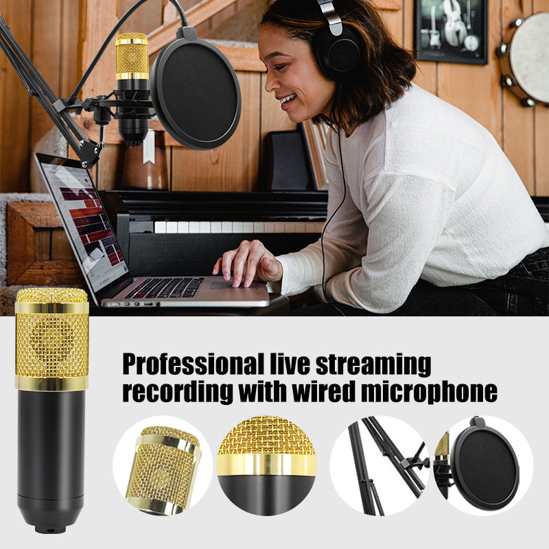 Cross-border V8S microphone dual microphone desktop disc holder English mobile phone computer sound card live blog equipment