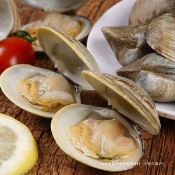 Fresh and Live Clam Shells Without Sand, Beautiful Clam Shells, Free Shipping, Wild Seafood, Clams, Aquatic Products and Shellfish Wholesale