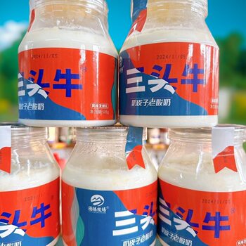Inner Mongolia Milk Skin Yogurt Totem Ranch Three-Head Milk Skin Old Yogurt Inner Mongolia Classic Old Yogurt