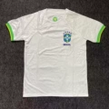 Brazilian fans 23