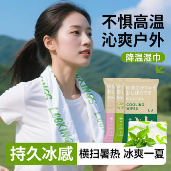 Anti-Heat and Cold Wet Wipes, Summer Cooling and Cooling Wet Wipes, Small Package, Portable Ice-Sensing Refreshing Sports Wet Wipes