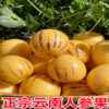 Yunnan Stone Forest Ginseng Fruit 5kg Seasonal Fresh Fruit Freshly Picked from the Tree in Season