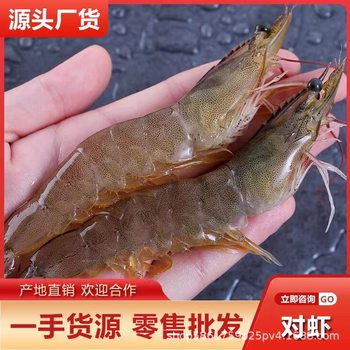 Sea-Caught Prawns Origin Wholesale Base Prawns Seafood Aquatic Products Seawater Prawns Fresh Live Frozen Guangdong