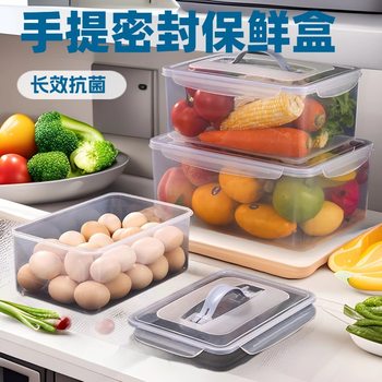 Transparent Plastic Satchel Sealed Fresh-Keeping Box Office Worker Lunch Box with Lid Refrigerator Storage Packaging Box