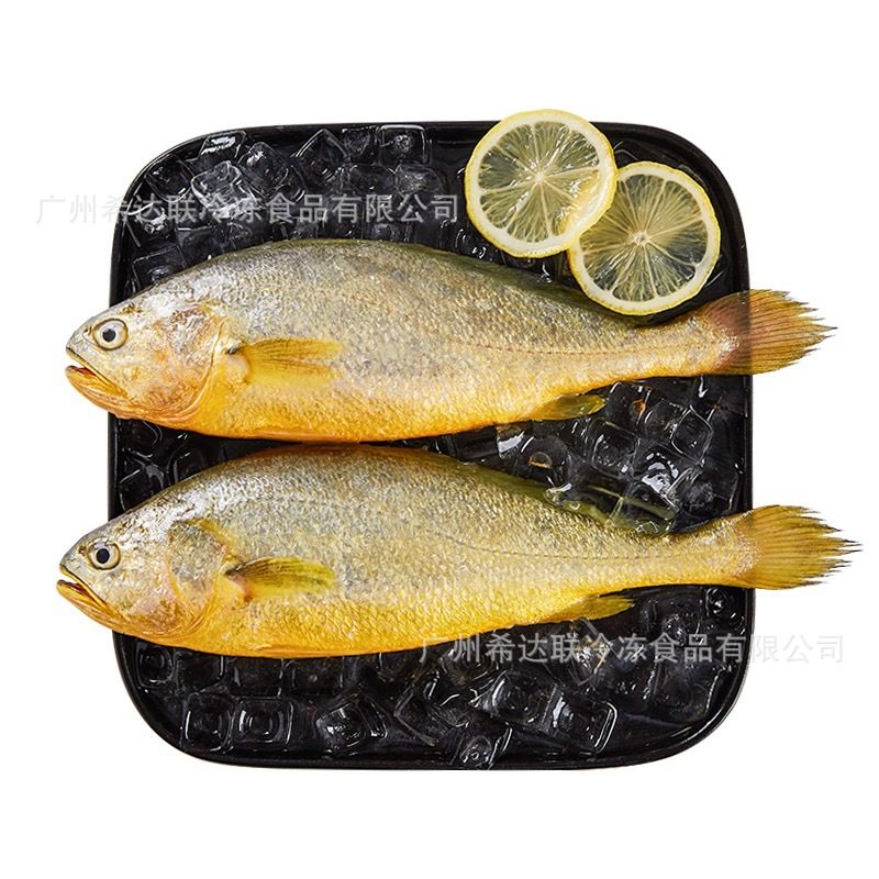 Deep Sea large yellow croaker 500-600g/piece of original yellow croaker original piece of independent packaging frozen large yellow croaker