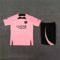 2324 paris pink