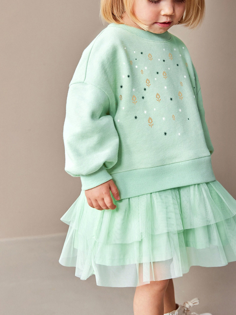 Girls' Long-sleeve Tulle Fleece-lined Autumn Dress, New Kids' Princess Dress, Cute Kids' Dress