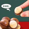 Wholesale Large-Sized Macadamia Nuts in Bags, Creamy Flavor, Daily Nuts, Snacks, Large Macadamia Nuts