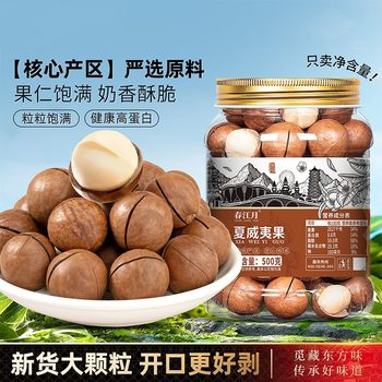 New Arrival of Large, Original Flavor Macadamia Nuts, Specialty Nuts, Wholesale from 5kg Pieces, Bulk Bags, Roasted Seeds and Nuts, Dried Fruits, Snacks