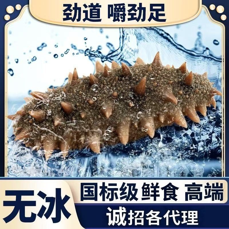 Mingzun 10A Grade Dalian Classy Ready-To-Eat Sea Cucumber 500g Sea Cucumber Ready-To-Eat Sea Cucumber Manufacturer Wholesale Shipped by Sf Express