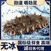 Mingzun 10A Grade Dalian Classy Ready-To-Eat Sea Cucumber 500g Sea Cucumber Ready-To-Eat Sea Cucumber Manufacturer Wholesale Shipped by Sf Express