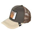 Lion Khaki