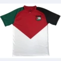 Flag of 2425 Palestine