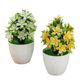 Artificial Flower Potted Plant Indoor Household Dining Table Decoration Small Ornaments Five-leaf Plum Blossom Potted Plastic Flower Cross-border Plant