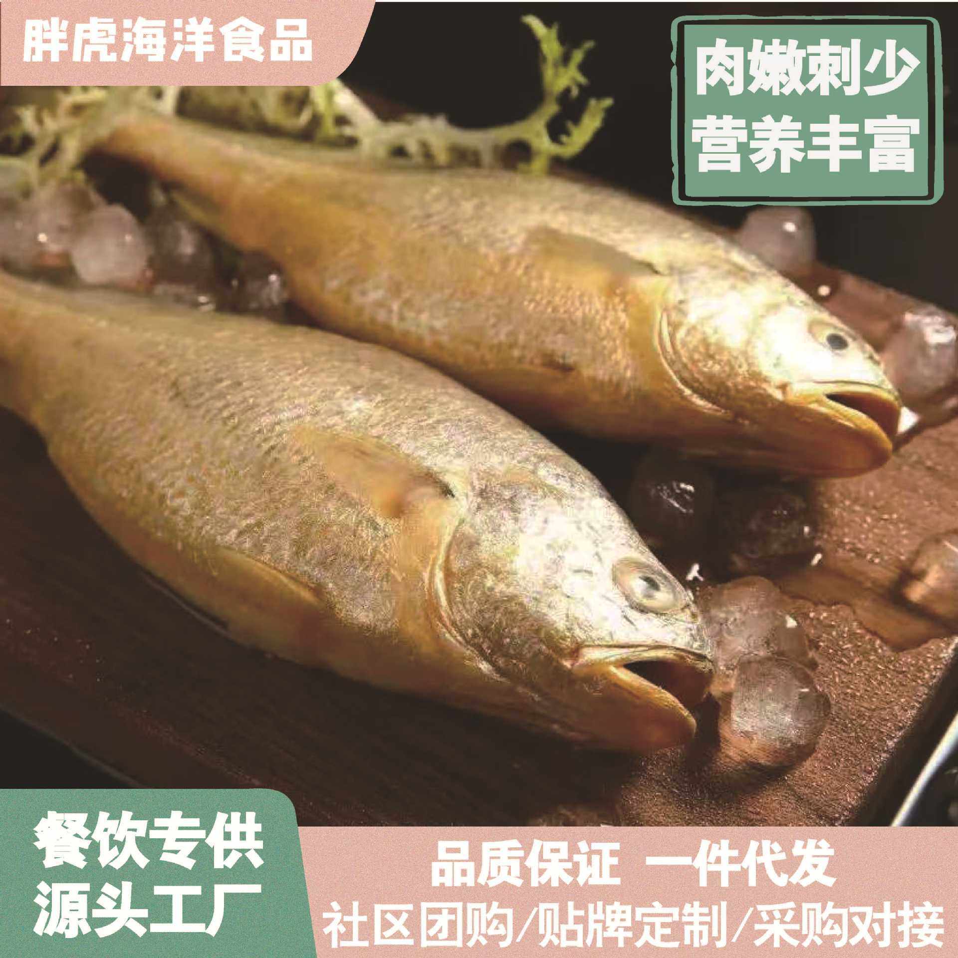 Yellow Croaker Small Yellow Croaker Extra Large Fresh Sea-Caught Fresh Seafood Wholesale Small Yellow Croaker Whole