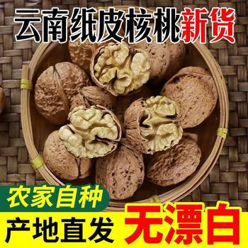 Yunnan walnut year new paper thin shell unbleached paper dry pecan paper shell wholesale generation