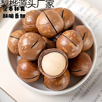 Creamy Nuts in Bulk, Weighed in Whole Boxes, Bagged with Shells, Summer Nuts, Nuts, Trademark Snacks