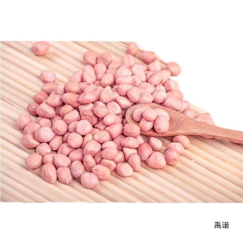 Seasonal Fresh Peanuts on Sale, Freshly Shelled New Peanuts, New Stock with Skin, Fresh Large Kernels, Oil Extraction, White Packaging, Free Shipping