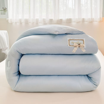 2025 Autumn and Winter New Skin-Friendly, Comfortable and Warm Soybean Quilt Spring & Fall Quilt Quilt Core