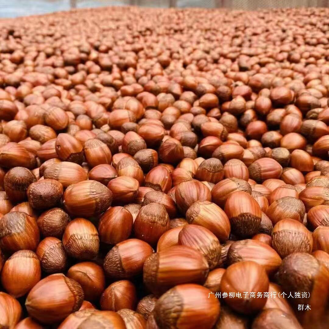 Northeast Wild Hazelnuts New Arrival Bagged Original Thin-Skinned Nut Snacks for Pregnant Women Wholesale Price Liling Specialty Hazelnuts