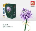 Purple-white sancao (601234c) in stock
