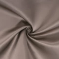 Elephant gray