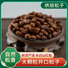 Non-Fried Roasted Pine Nuts 5kg Bulk Large Capsules Canned Hand-Peeled Shelled Red Pine Nuts Original Snack Nuts Now