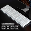 L1 Silver - White Light (Wireless)