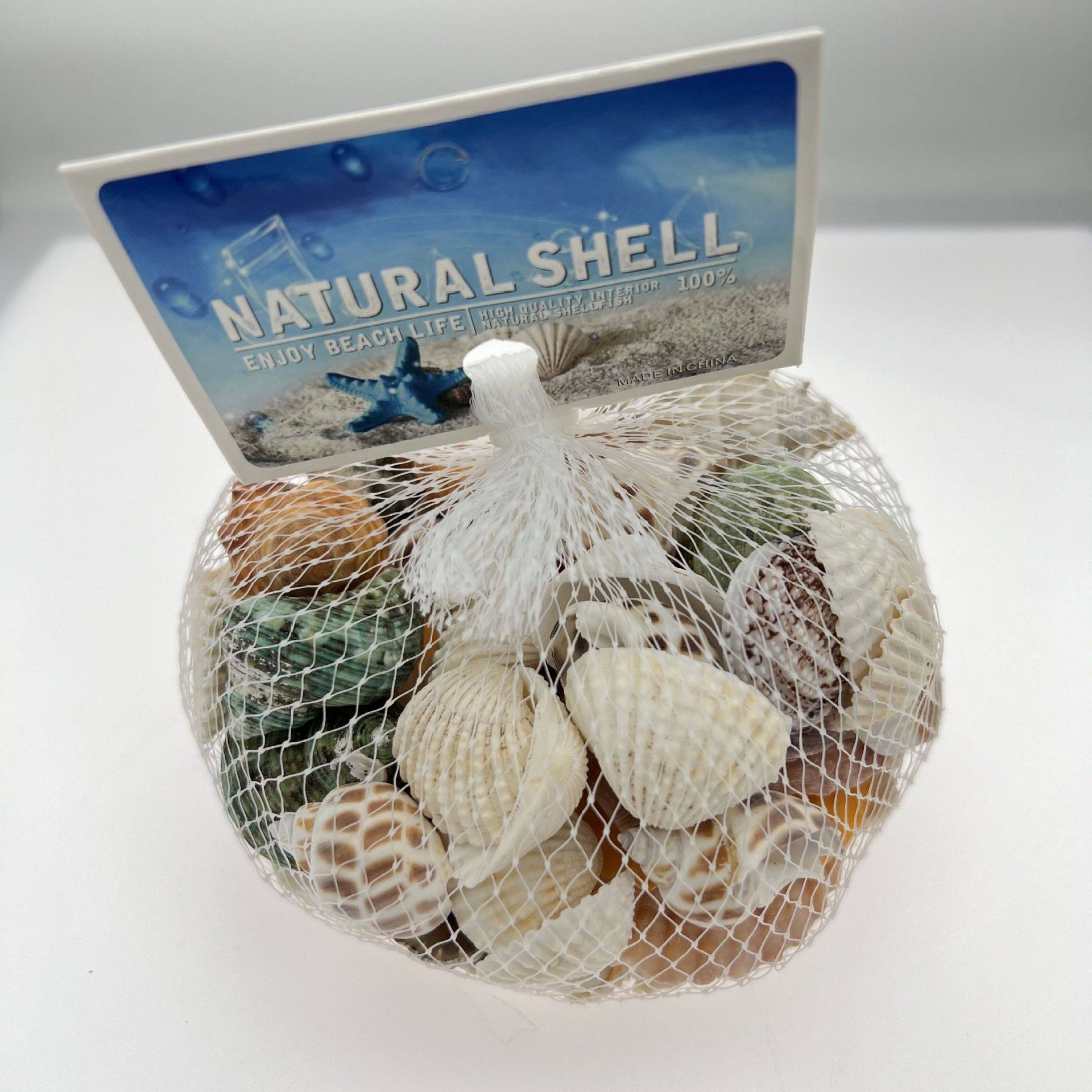 Study Natural Shell Conch Starfish Fish Tank Landscaping Decoration Shell Conch Wholesale Wind Chime DIY Crafts