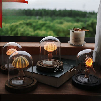 Ocean Island Retro Shell Sea Urchin Conch Lamp Night Light Ornament Handmade Material Pack Mid-Autumn Festival Manufacturer Wholesale