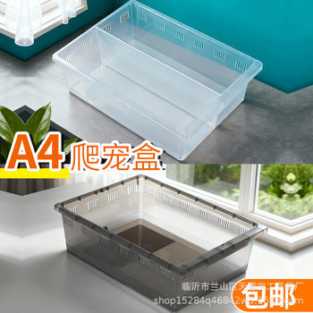 Reptile and Insect Breeding Box for Spiders, Beetles, Snails, Insects, Scorpions, Geckos, Lizards, Turtles, Silkworms, and Horned Frogs