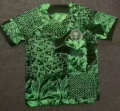 23nigeria home