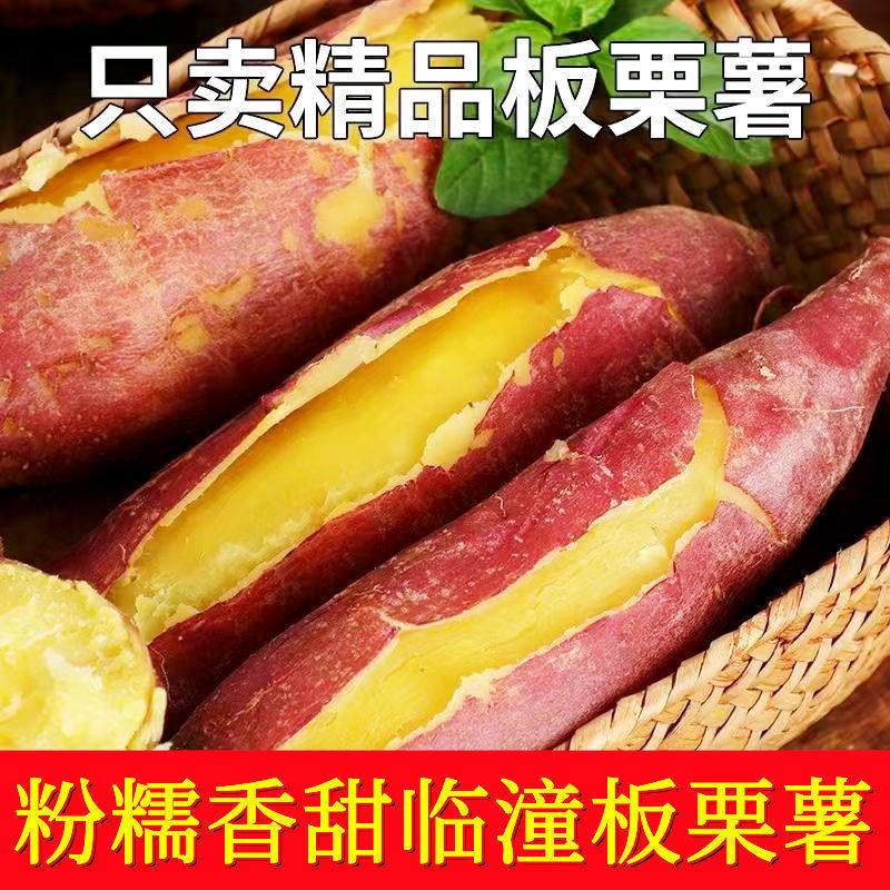 Shaanxi Linzhou Chestnut Sweet Potatoes Fresh Sandy Floor Chestnut Sweet Potatoes Fresh Sweet Potatoes Wholesale Cross-Border E-Commerce