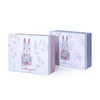 Cartoon Gift Box Ins Style Birthday Gift Box Scarf Packaging Box Empty Box Bunny Souvenir Gift Box in Stock