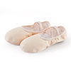 Winter fleece-lined dance shoes children's thickened ballet shoes adult practice dance shoes cat claw shoes yoga shoes wholesale