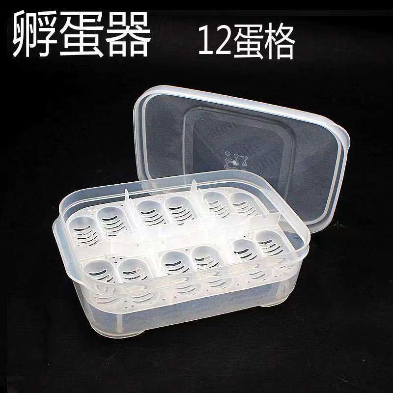 CM Shougong Snake Lizard Climbing Pet Hatching Egg Hatching Box Reptile Hatching Box Hatching Egg Factory Direct Wholesale