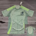 24-25 mexico away game