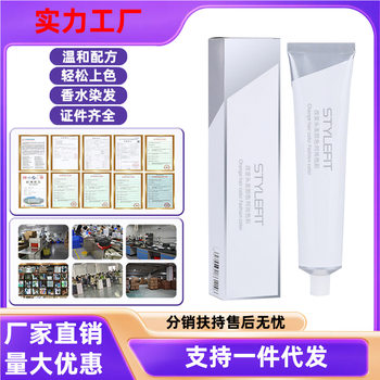 Stylefit Hair Salon Exclusive Hair Care Single Tube Trendy Color Hair Dye for Barbershop and Hair Salon to Cover Gray Hair