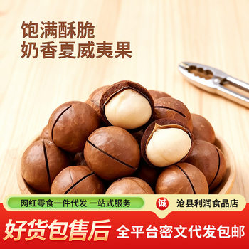 Wholesale Macadamia Nuts with Creamy Flavor, Thin Skin, Large Nuts in Bags, Nut Snacks for the New Year, Walnut Nuts with Open Shells